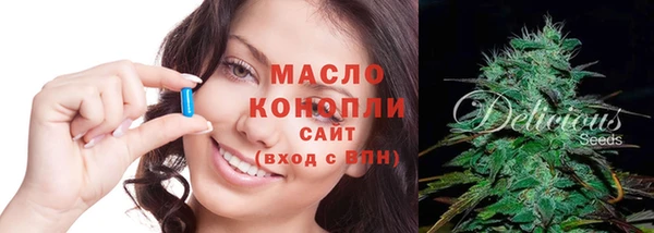 гидра Няндома