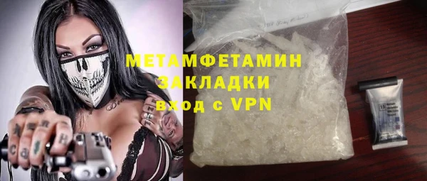 гидра Няндома