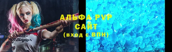 гидра Няндома