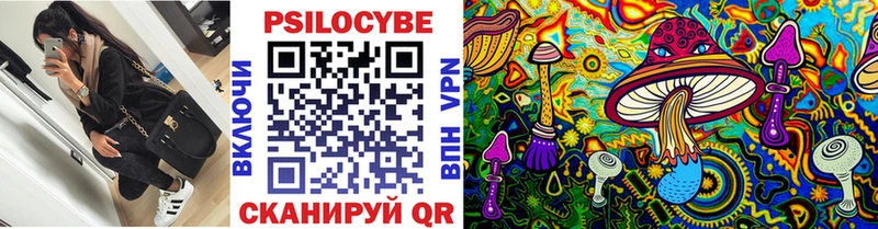 MEGA онион  Касимов  Псилоцибиновые грибы ЛСД 