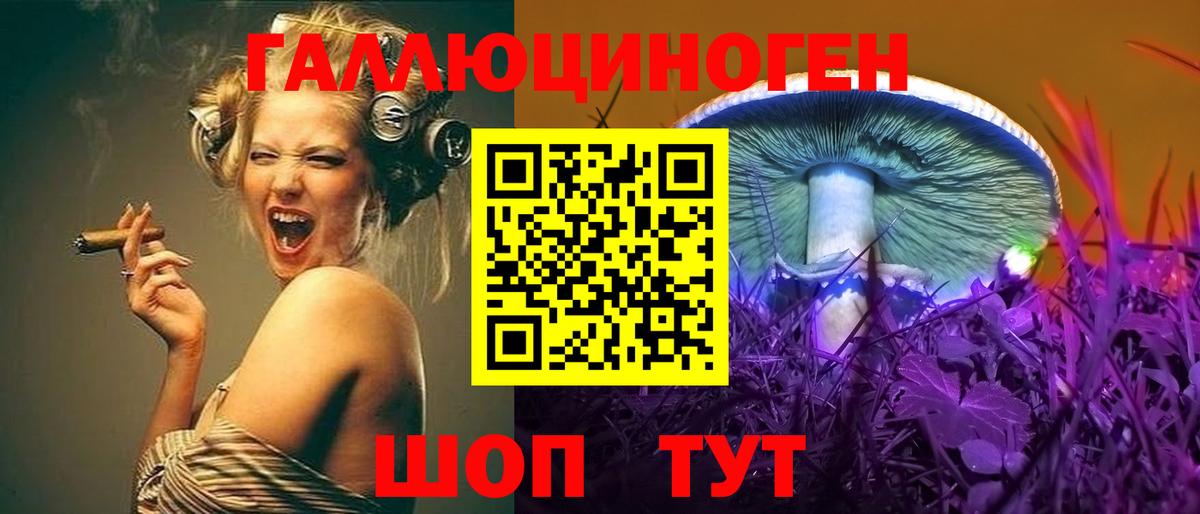 Касимов  купить  цена  Вход с VPN  Псилоцибиновые грибы Psilocybine cubensis 